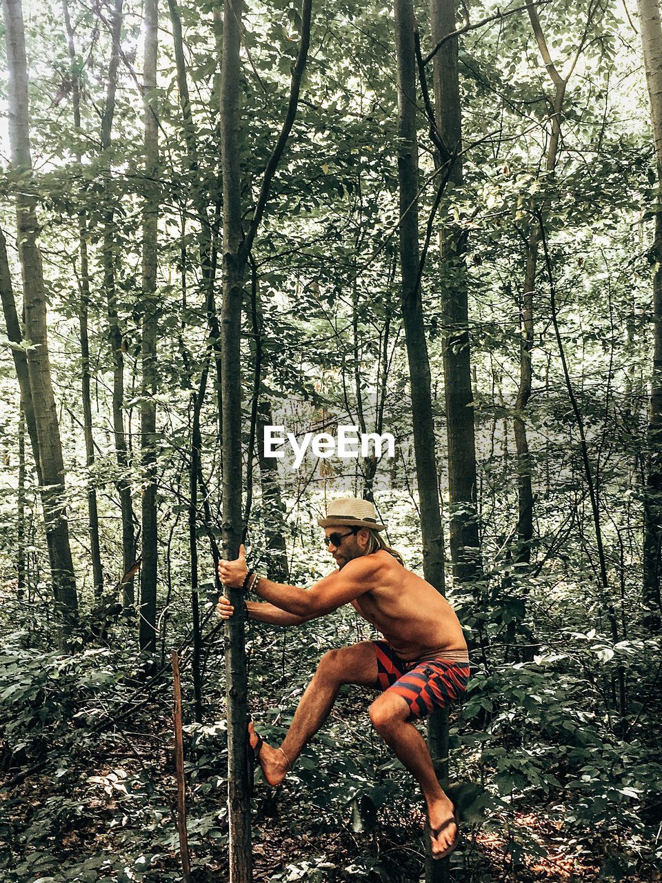 Full length of shirtless man climbing tree in forest