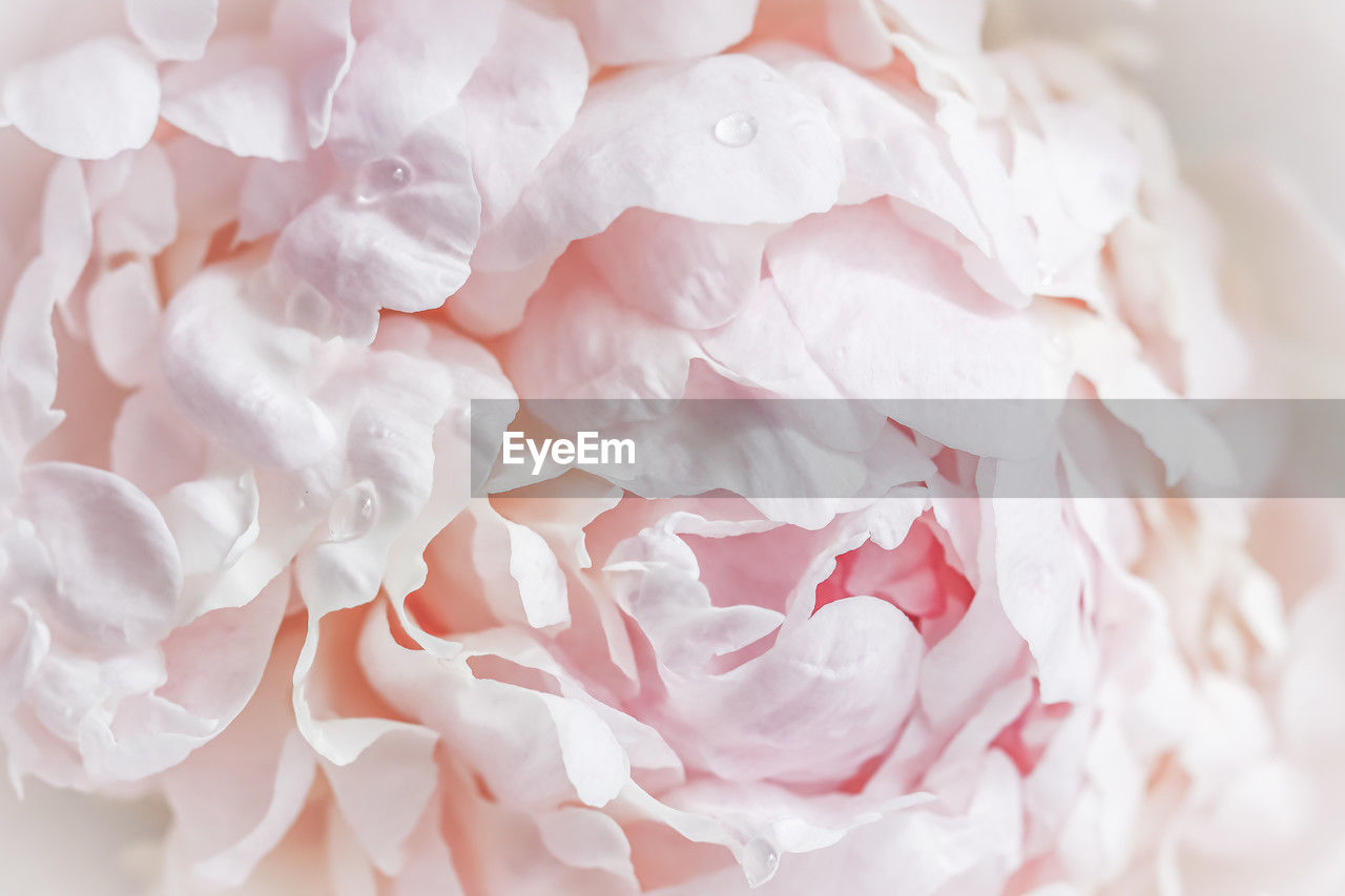 full frame shot of crumpled paper