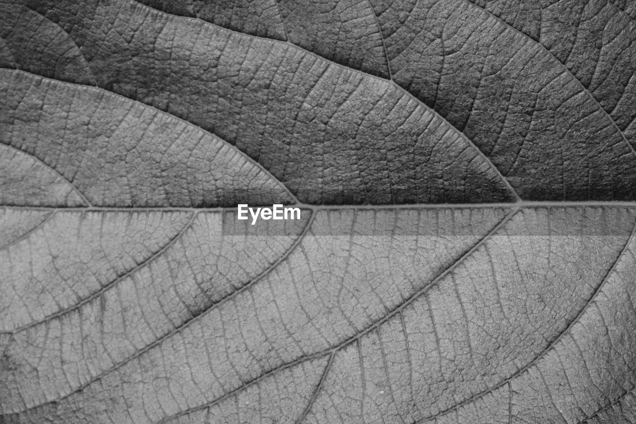 FULL FRAME SHOT OF PATTERN