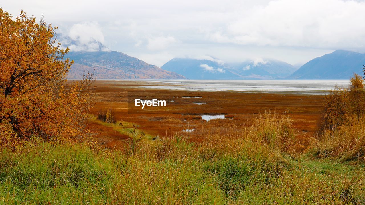 Scenic view of landscape against sky