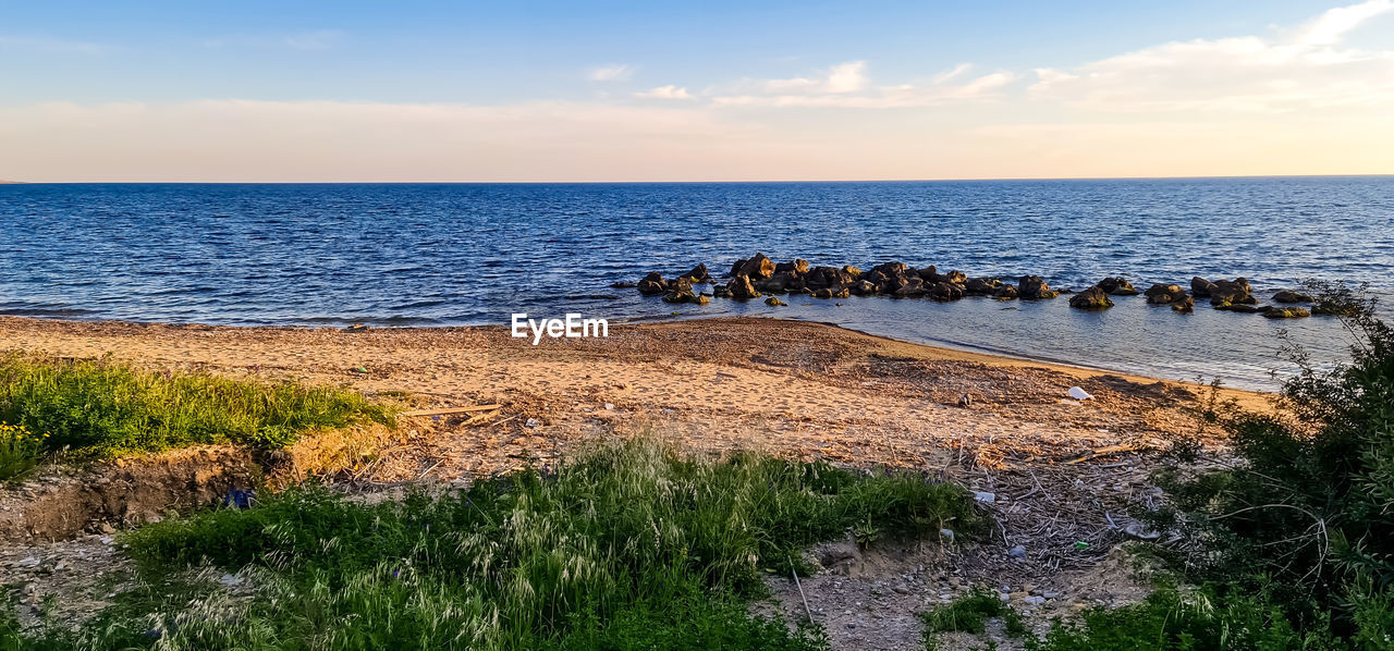 water, sea, shore, sky, coast, horizon, horizon over water, land, body of water, nature, beauty in nature, beach, scenics - nature, ocean, tranquility, tranquil scene, rock, bay, cloud, wave, grass, plant, no people, cliff, animal, terrain, day, idyllic, animal themes, non-urban scene, outdoors, travel destinations, morning, environment, animal wildlife, coastline, sand, landscape, sunlight, travel, mammal, vacation, group of animals, wildlife