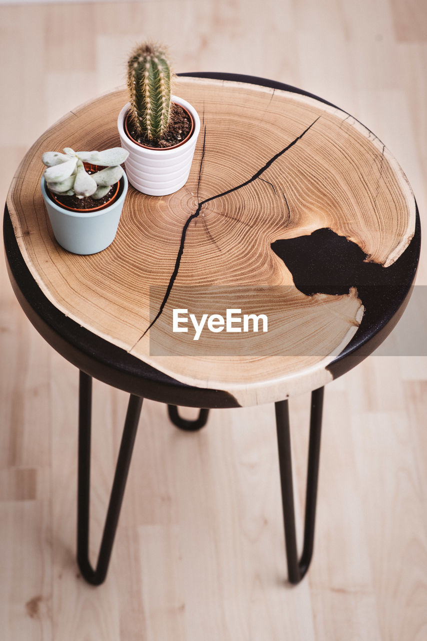 High angle view of potted plant on table