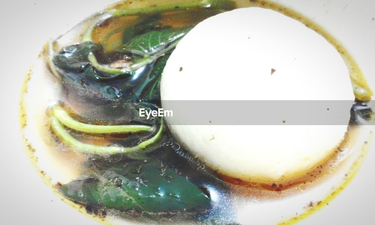 CLOSE-UP OF FOOD ON TABLE