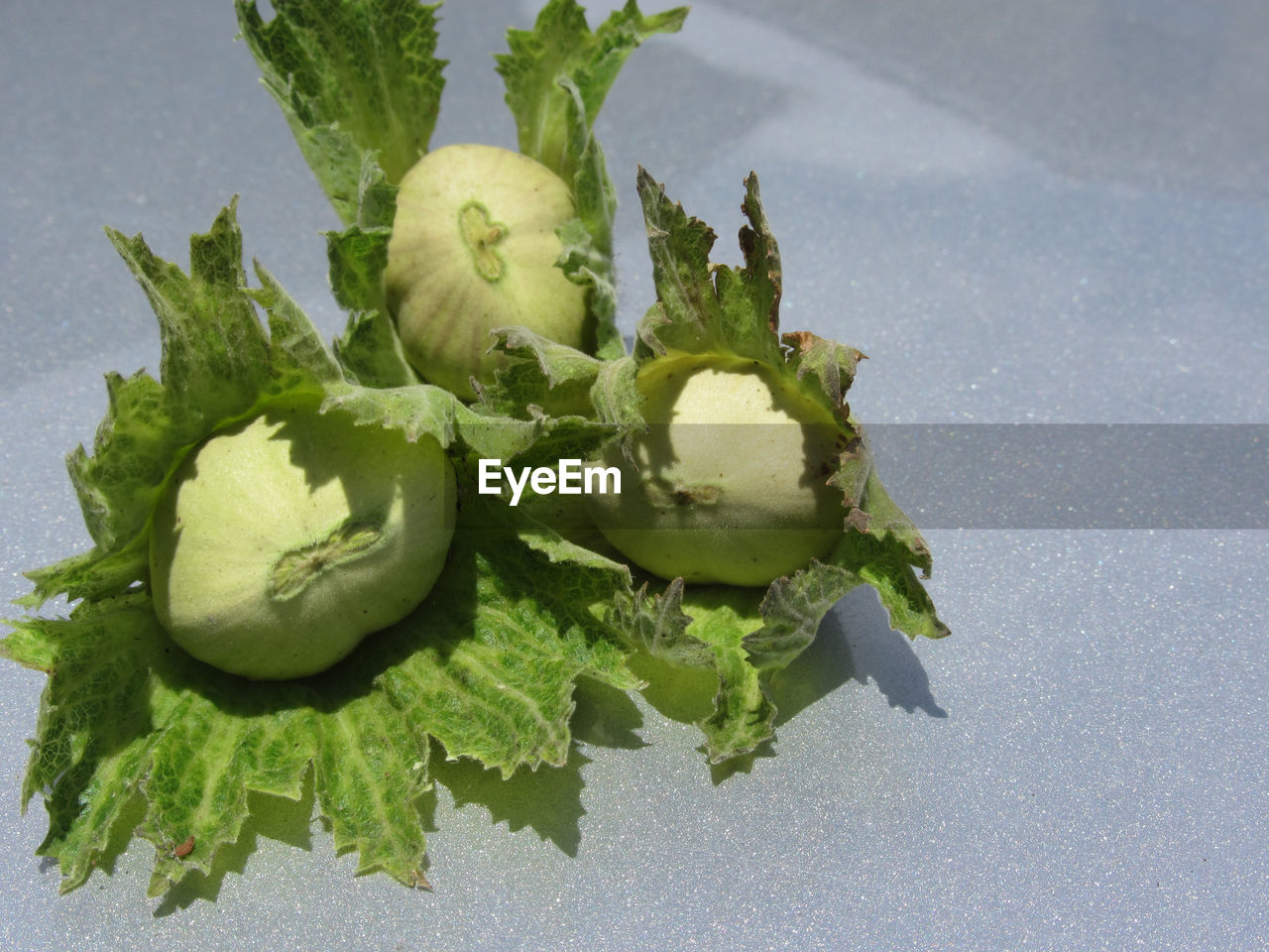 CLOSE-UP OF FRESH VEGETABLES