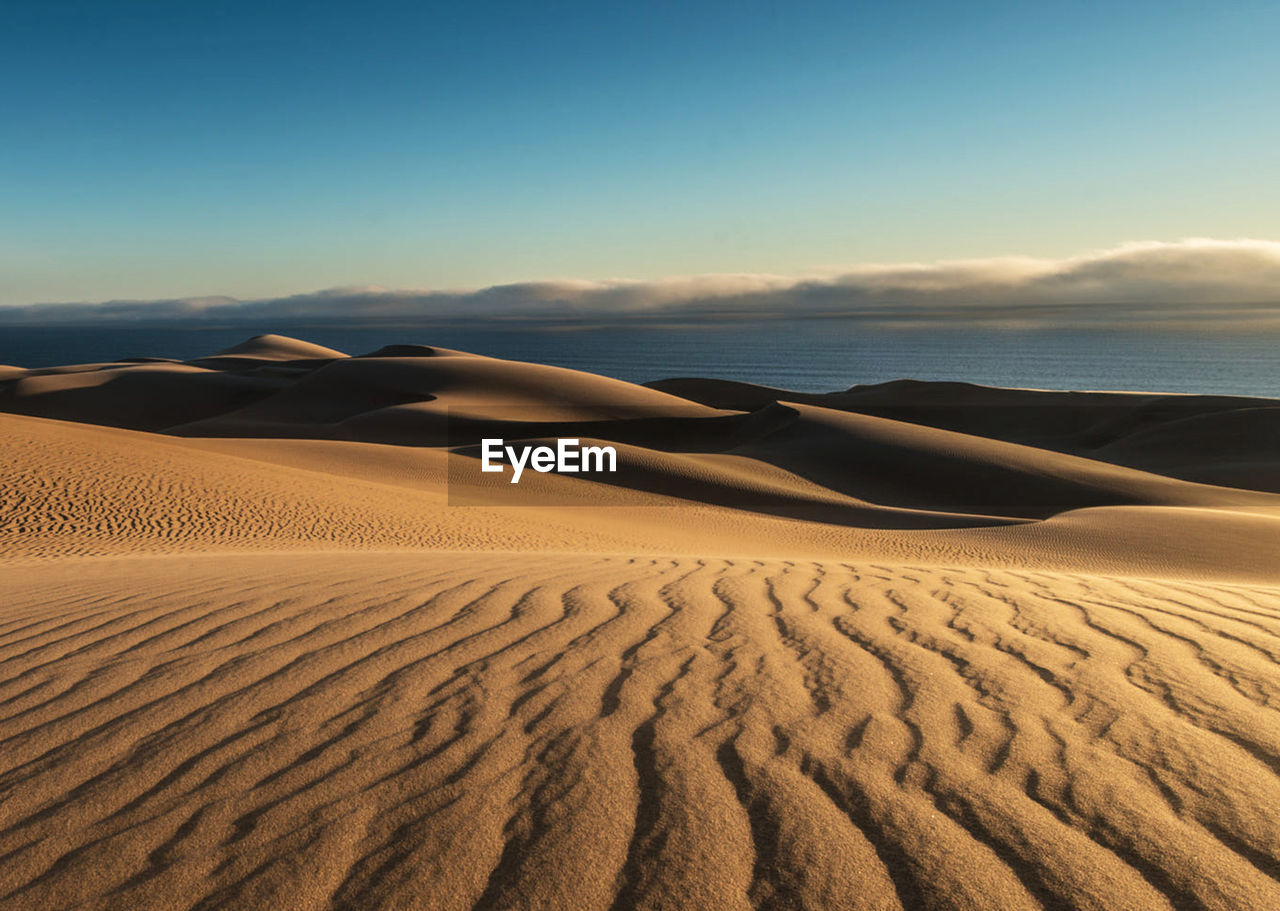 Scenic view of sand dune against sky