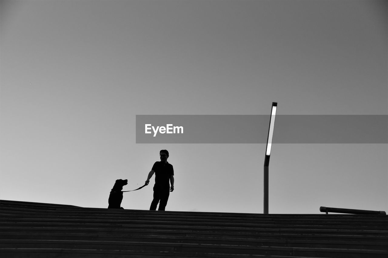 Low angle view silhouette man with dog standing against sky