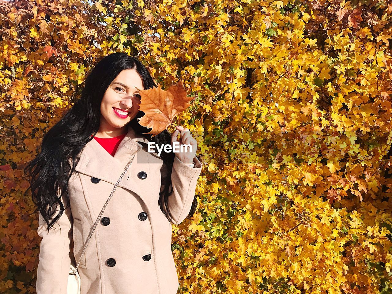 Smiling young woman holding maple leaf while standing against yellow autumn leaves