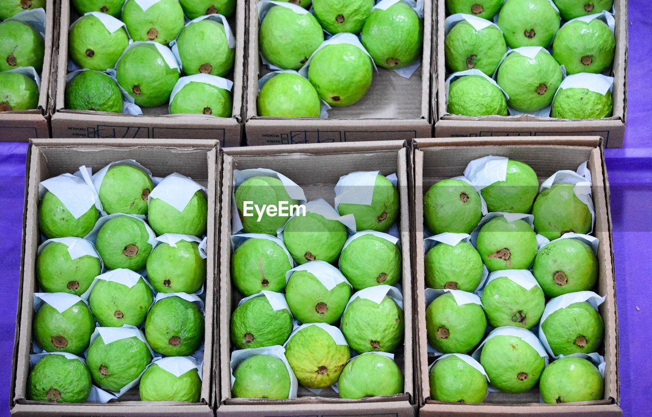 Green guavas for sale in market