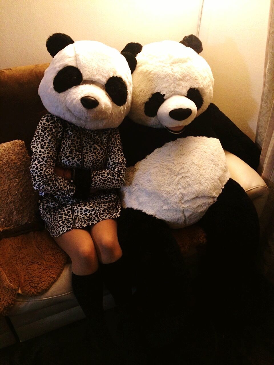 High angle view of people wearing panda costumes on sofa at home