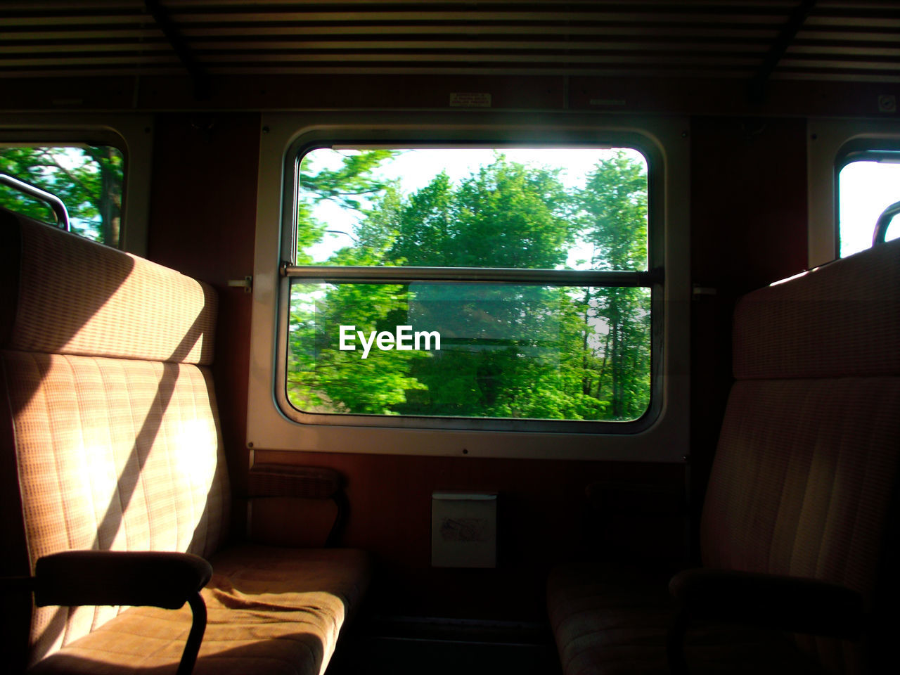 TREES SEEN THROUGH TRAIN WINDOW IN BUS