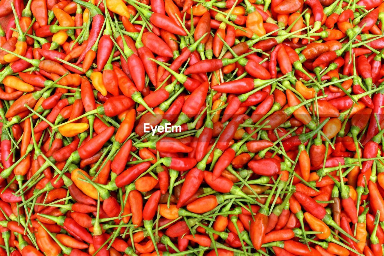 vegetable, chili pepper, food and drink, full frame, red, food, backgrounds, large group of objects, bell peppers and chili peppers, spice, abundance, produce, freshness, plant, market, red chili pepper, no people, wellbeing, pepper, healthy eating, for sale, retail, still life, high angle view, market stall, close-up, day, heap, ingredient, fruit