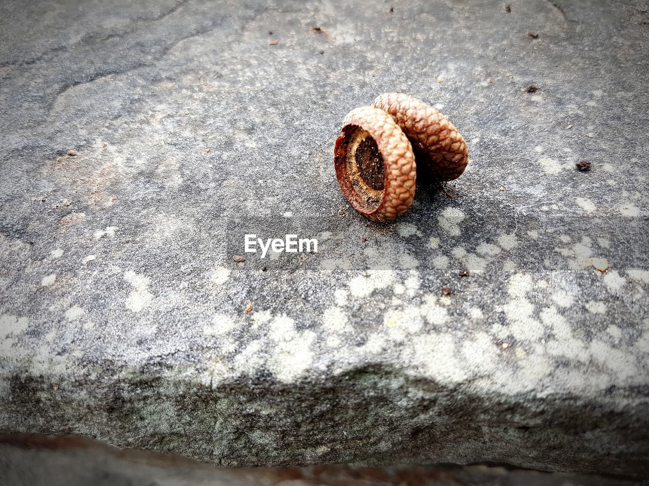 HIGH ANGLE VIEW OF RUSTY METAL ON SURFACE