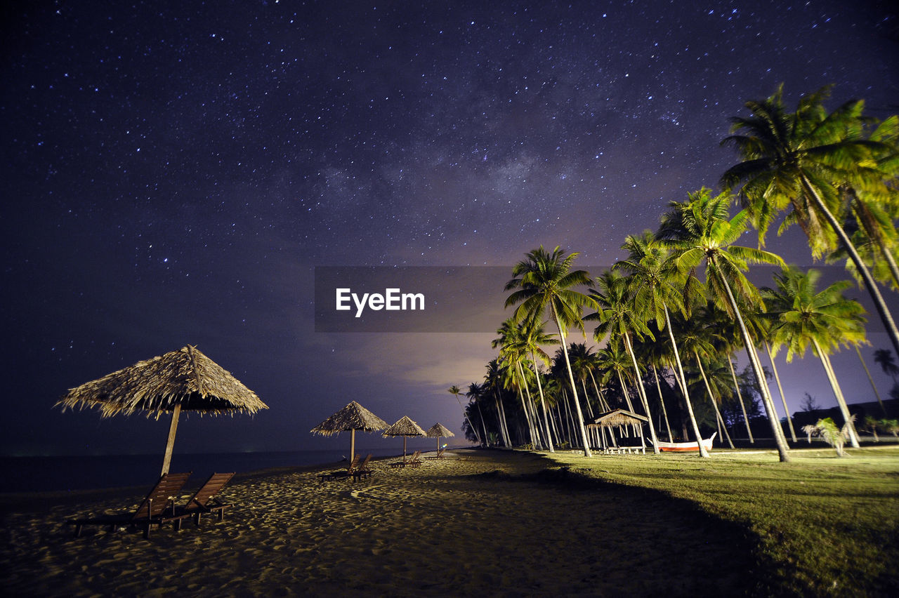 Palm trees on beach against sky at night in kampung penarik terengganu