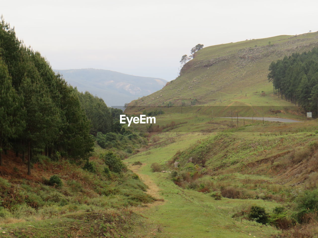 Scenic view of landscape against clear sky