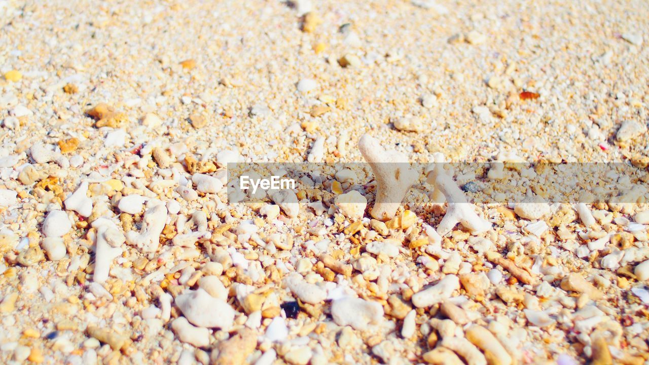 Close-up of stones at beach