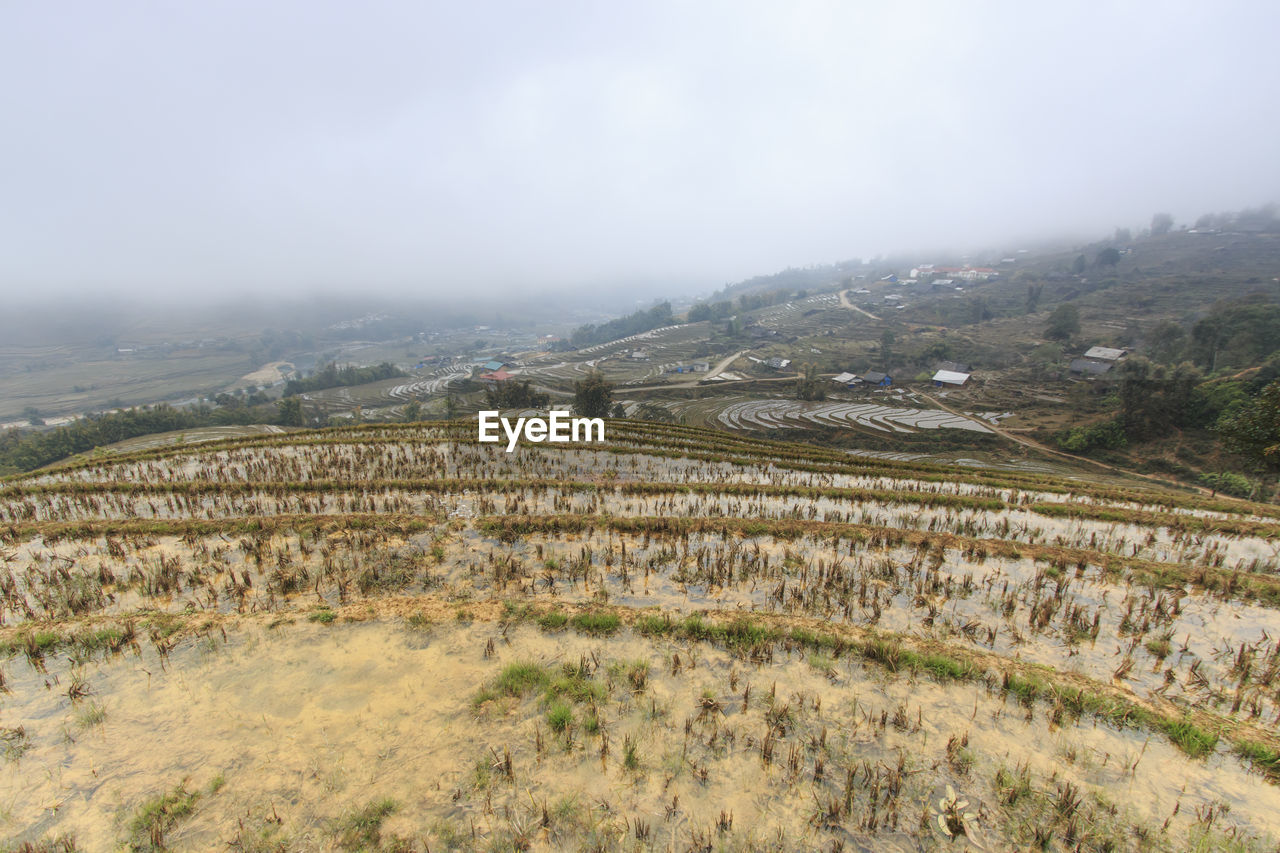 Rice terraces against sky during foggy weather in sapa, vietnam