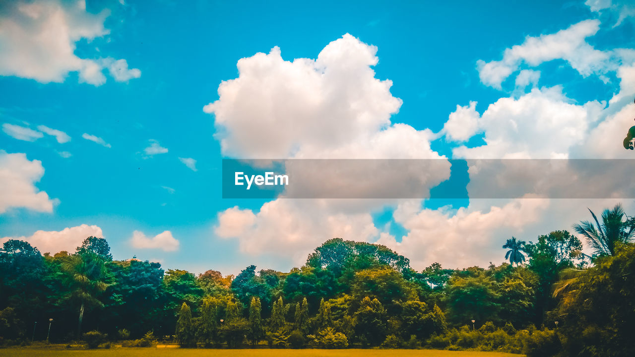 PANORAMIC VIEW OF TREES AND PLANTS ON FIELD AGAINST SKY