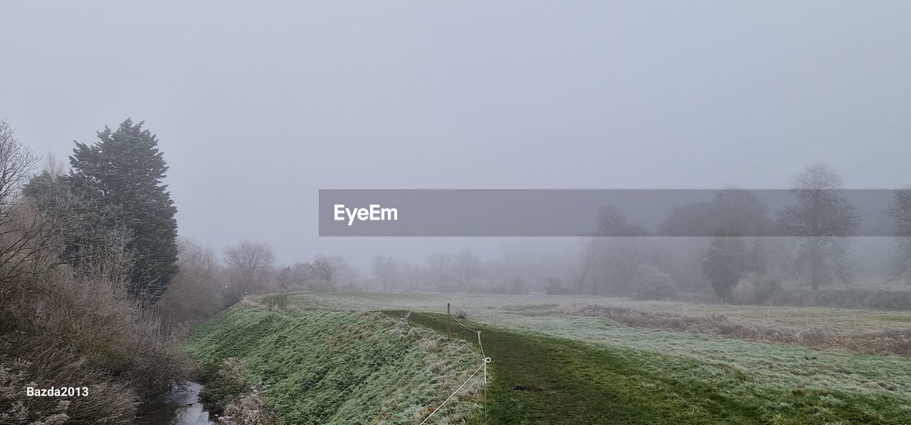 water, tree, reflection, plant, nature, no people, beauty in nature, tranquility, lake, day, scenics - nature, fog, winter, tranquil scene, waterfront, outdoors, growth, snow, sky