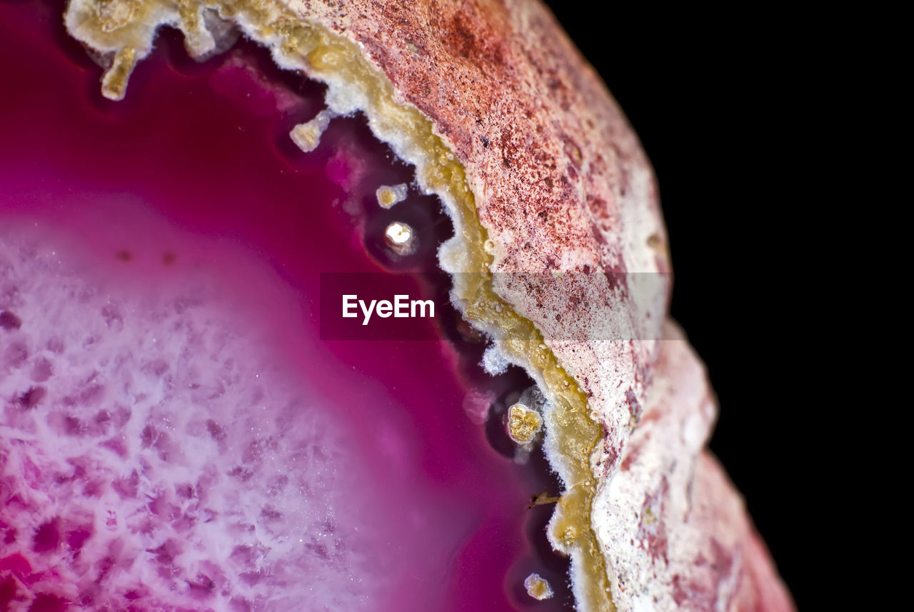 Cropped image of frozen fruit against black background