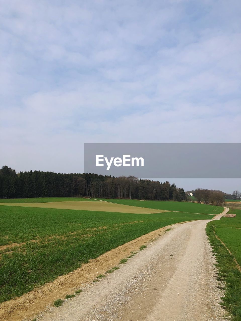 Dirt road amidst field against sky