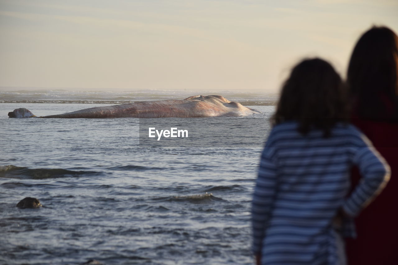 Rear view of mother and daughter looking at whale in sea