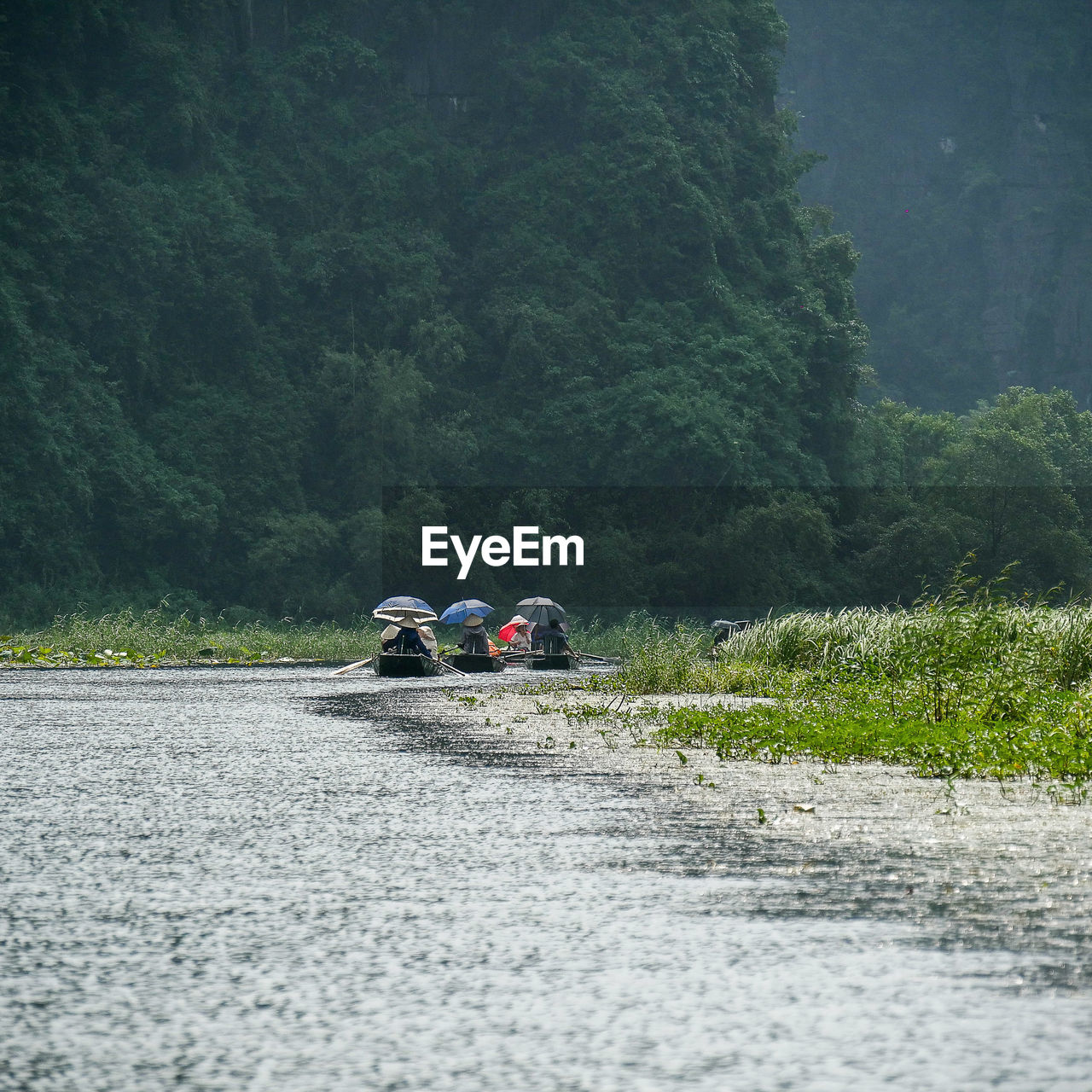 People with umbrellas rowing rowboats in river at forest