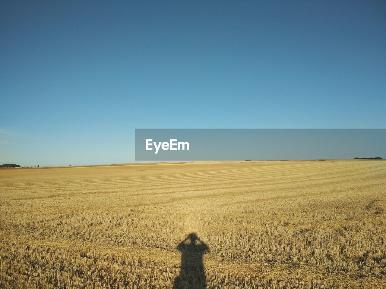 SHADOW OF MAN ON FIELD AGAINST CLEAR BLUE SKY