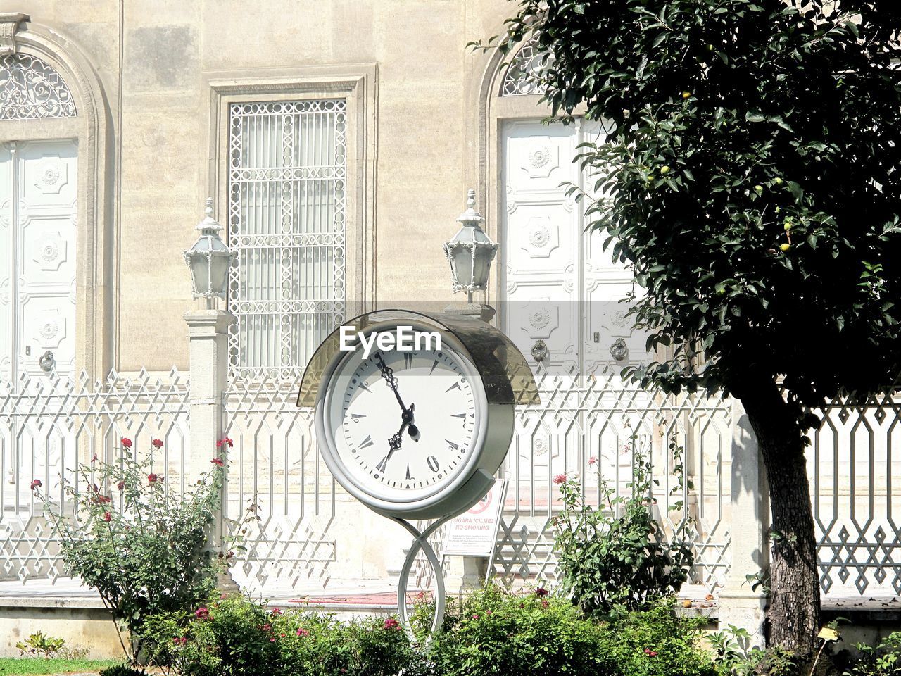 CLOCK ON TREES