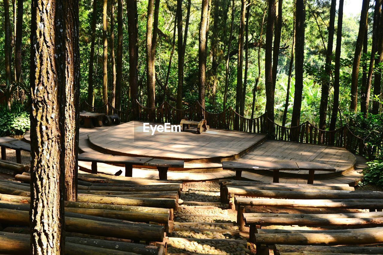 TABLES AND TREES IN FOREST