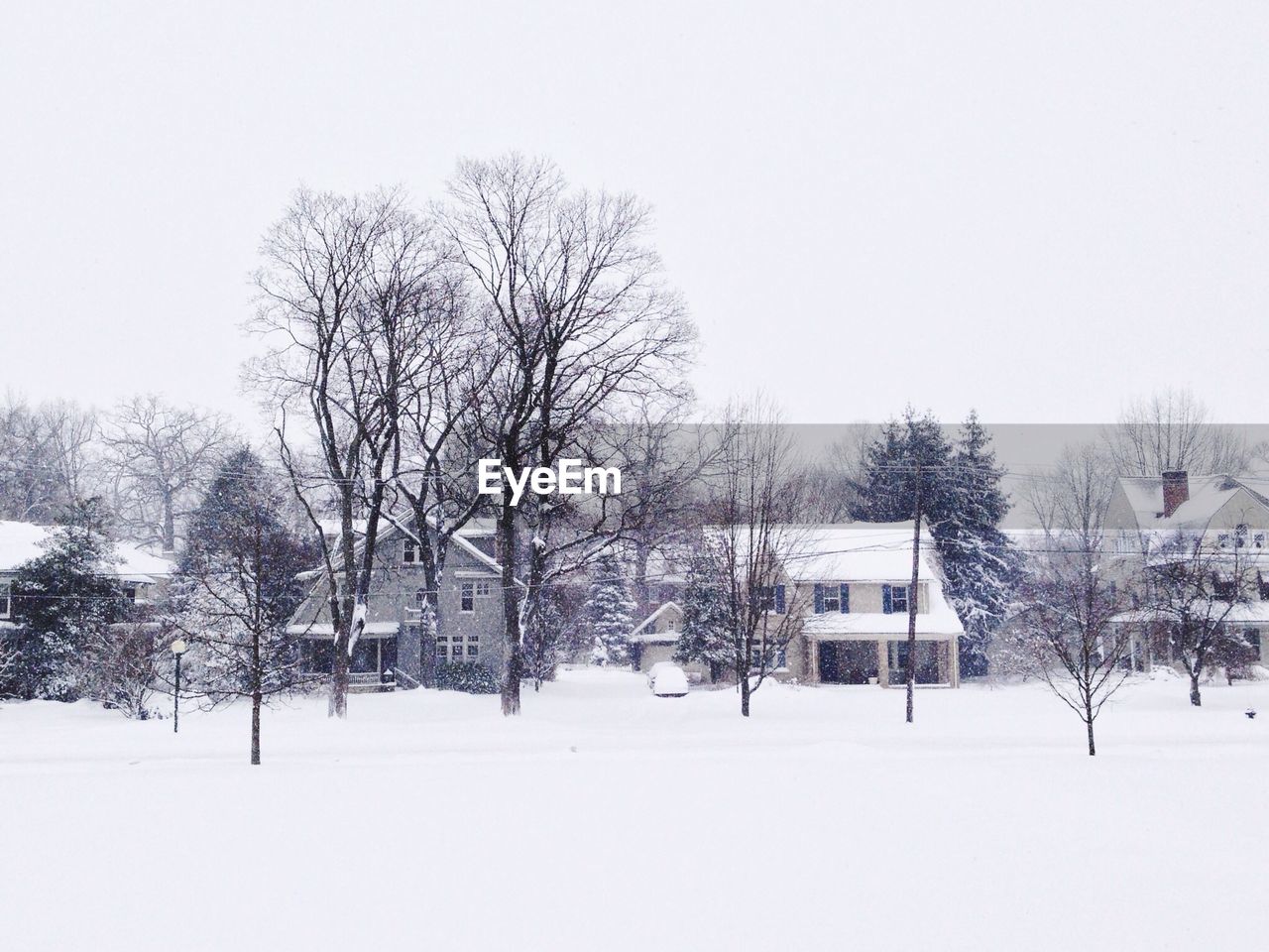 Snow covered houses with bare trees