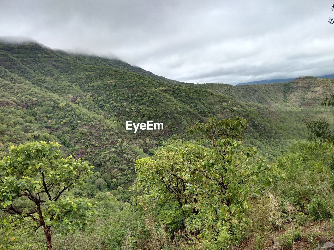 Scenic view of tree mountains against cloudy sky