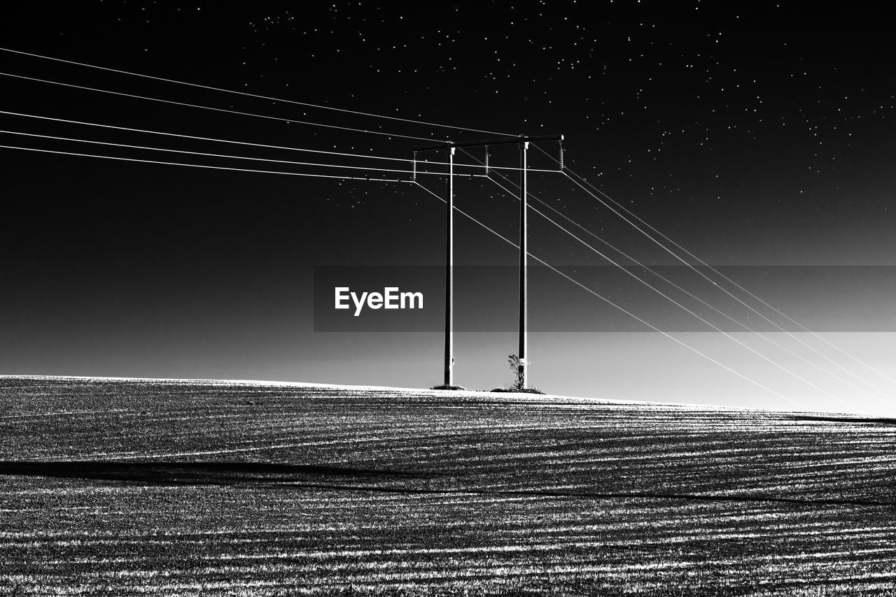 Electricity pylon on a field cultivated with wheat when the flocks migration was underway 