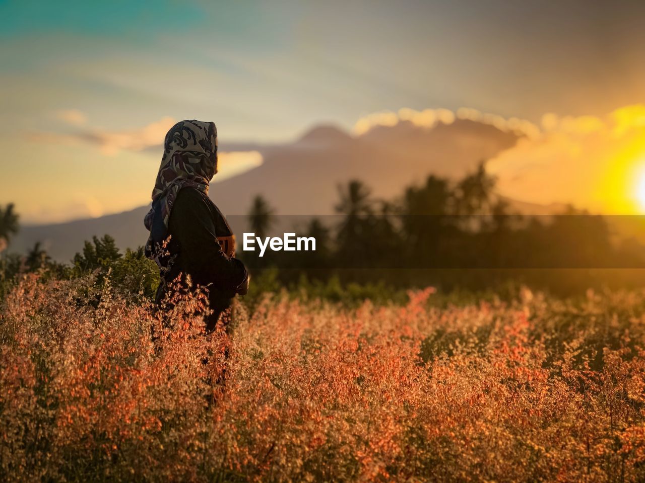 Side view of woman on field during sunset