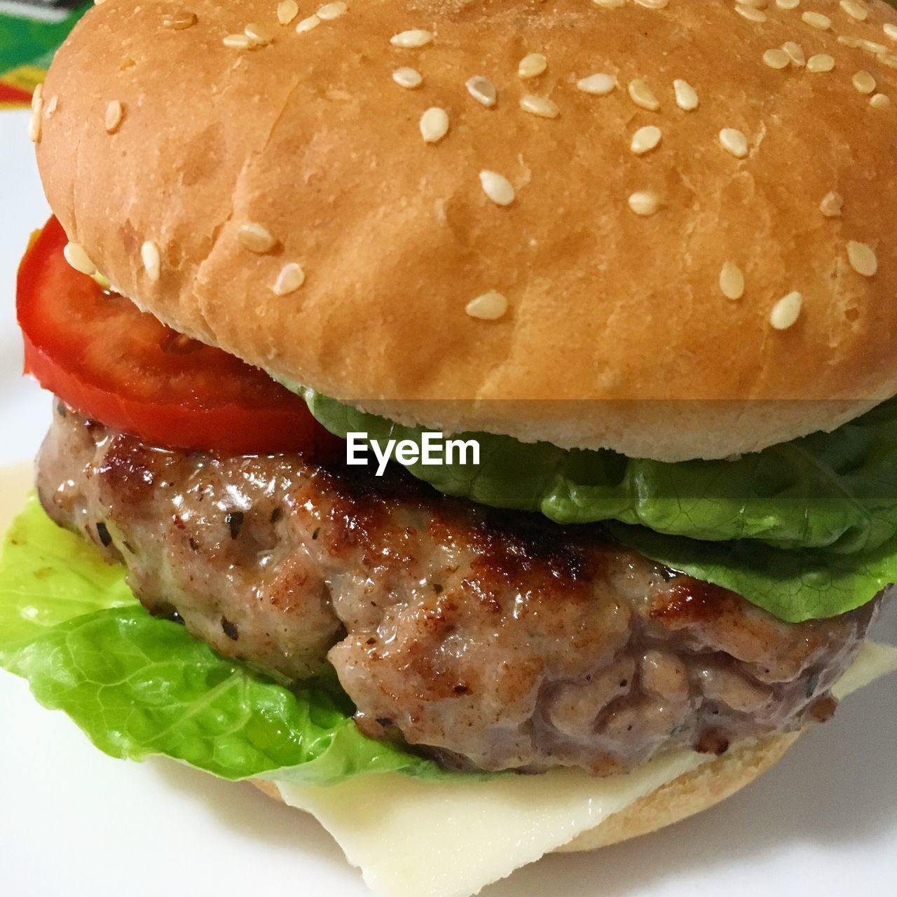 CLOSE-UP OF BURGER ON PLATE