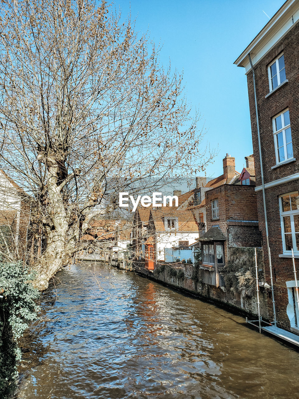 CANAL AMIDST BARE TREES AGAINST SKY