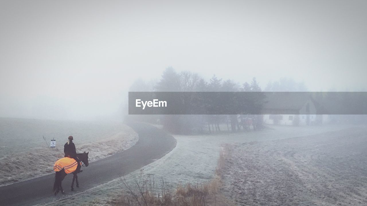 Person riding on horseback through foggy country road