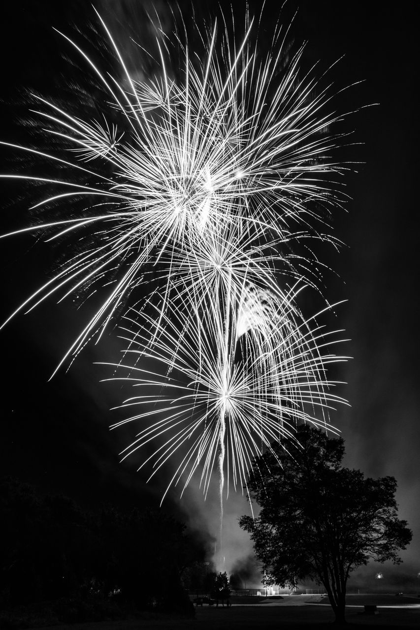 low angle view of fireworks against sky at night