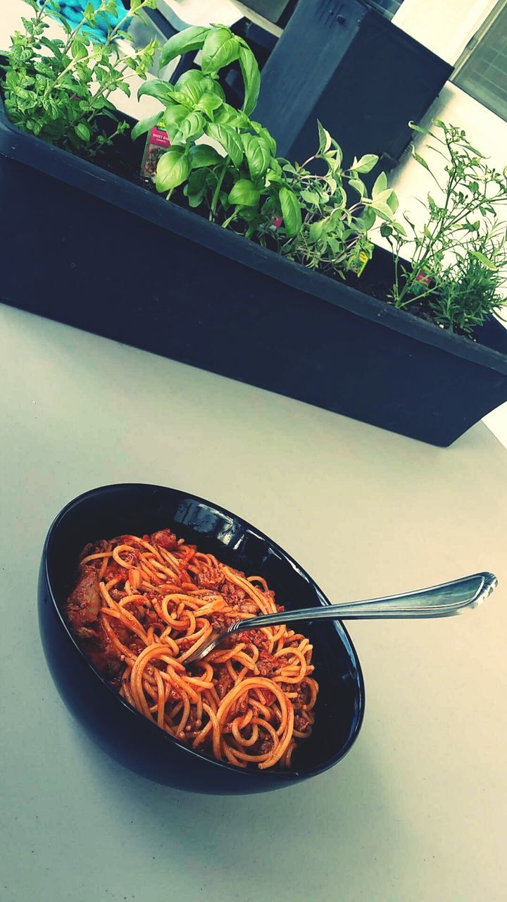 Bowl of turkey spaghetti by potted plant on table