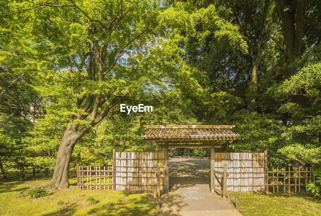 Bamboo gate in japanese garden 