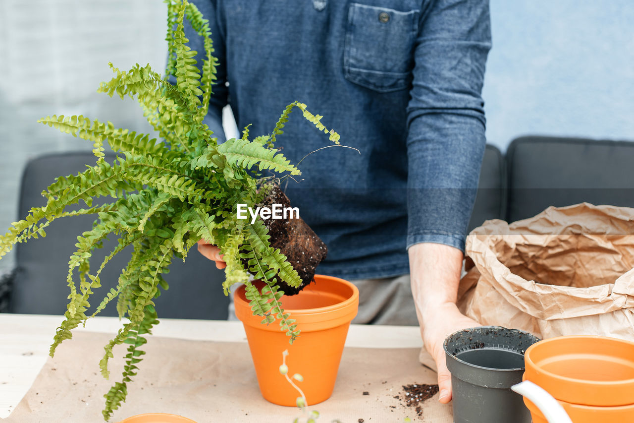 midsection of person holding potted plant