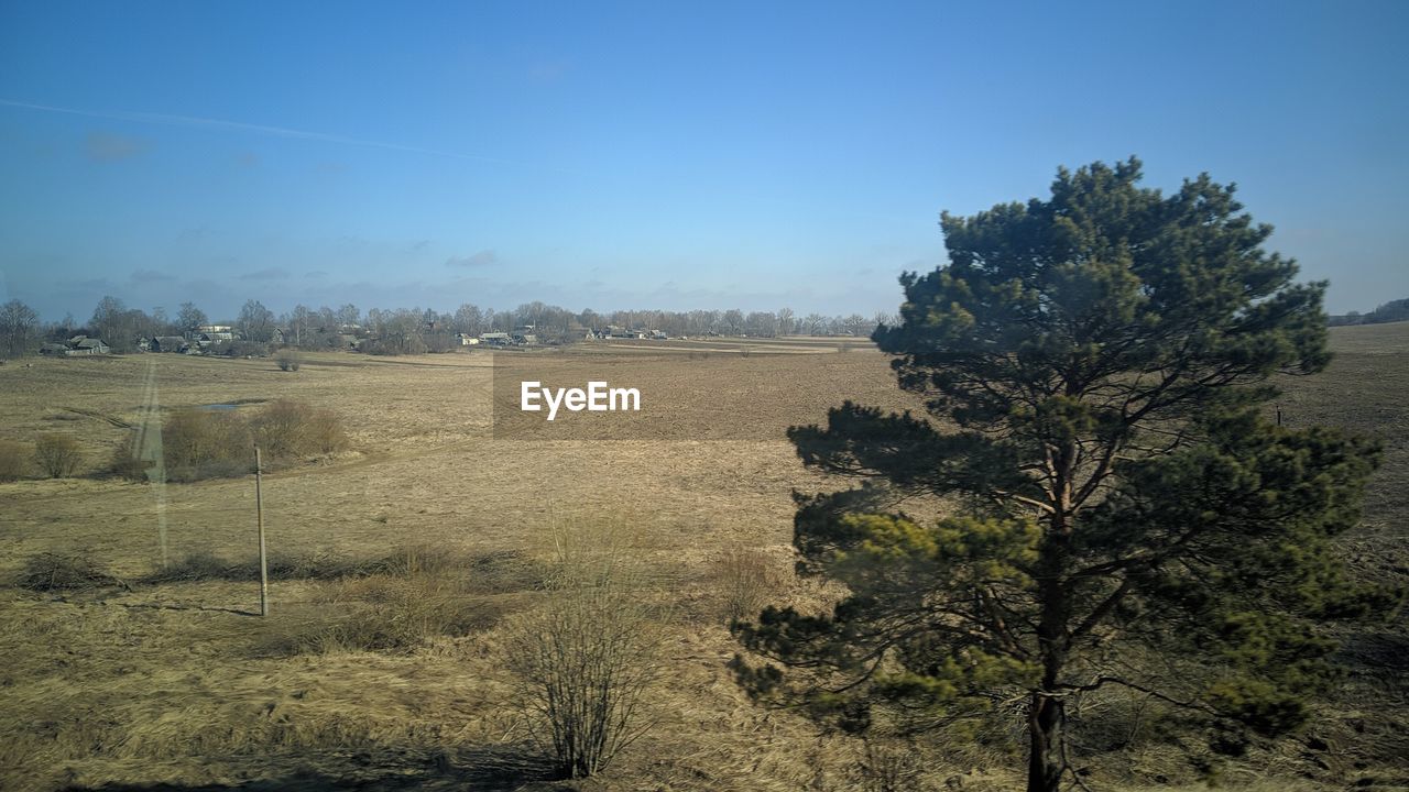 TREES ON FIELD AGAINST SKY