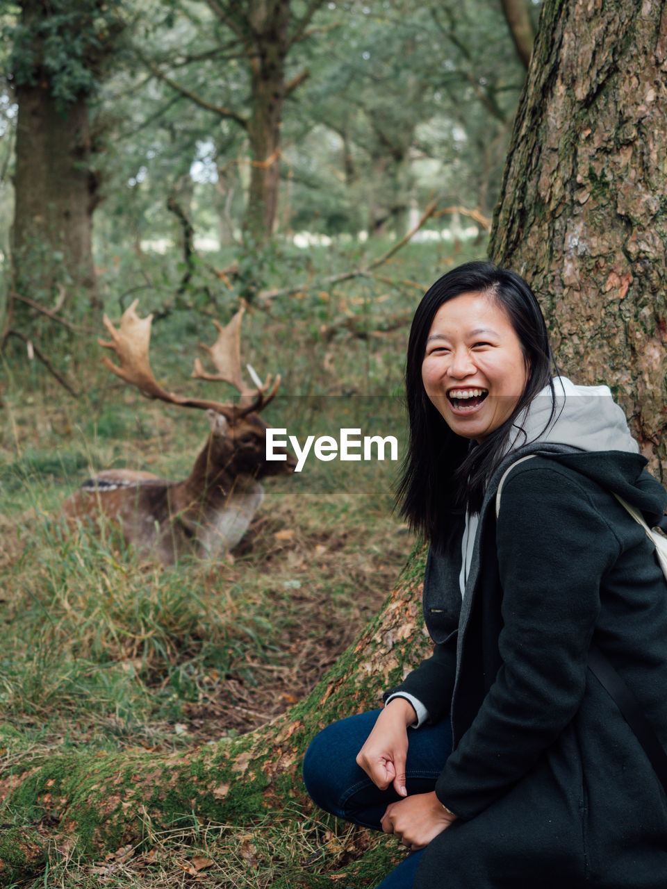 Woman sitting by deer in forest