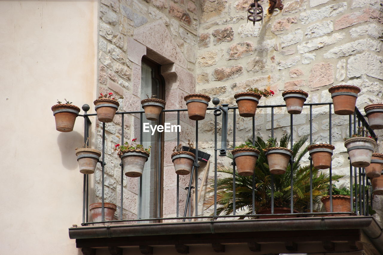 Low angle view of pot plants at balcony