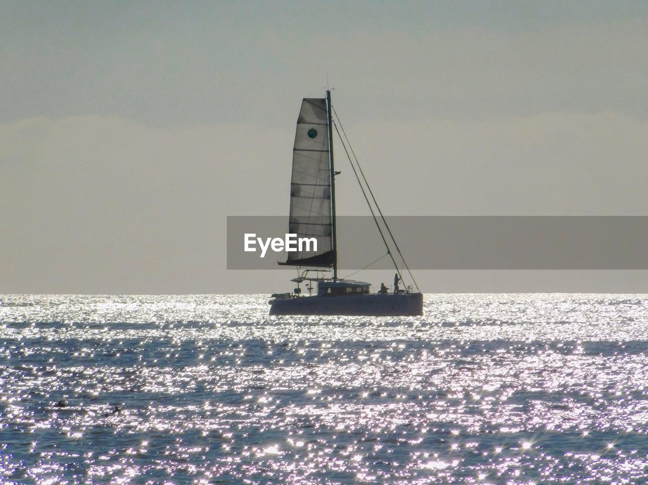 Sailboat sailing on sea against sky