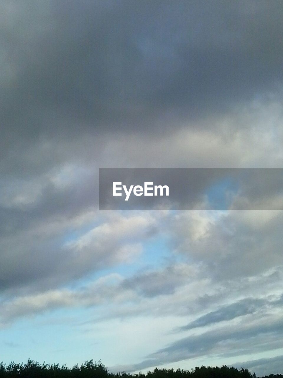 LOW ANGLE VIEW OF TREES AGAINST CLOUDY SKY