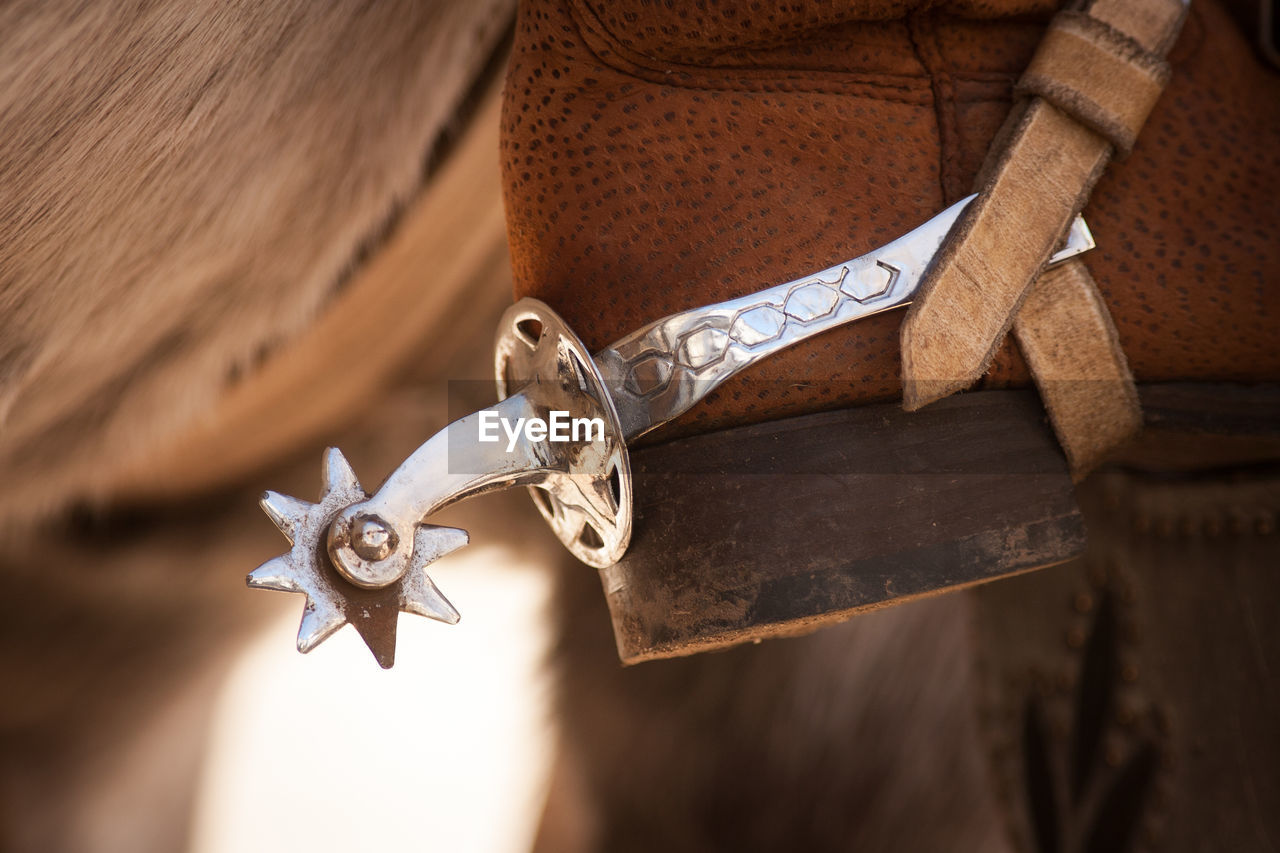 Spur on boot of person riding horse