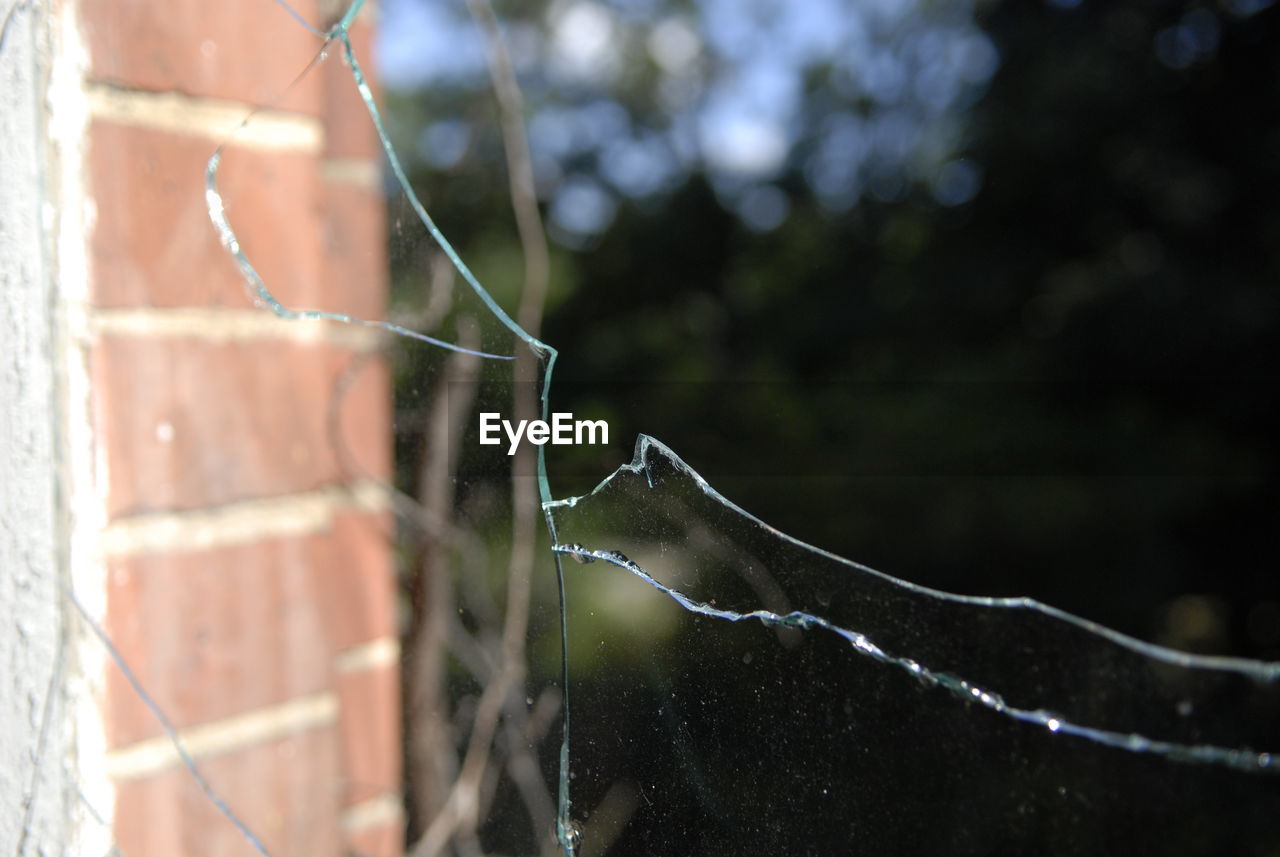 Close-up of broken glass window