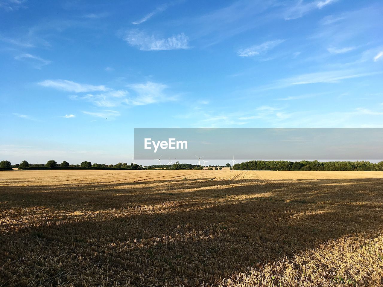 AGRICULTURAL FIELD AGAINST BLUE SKY