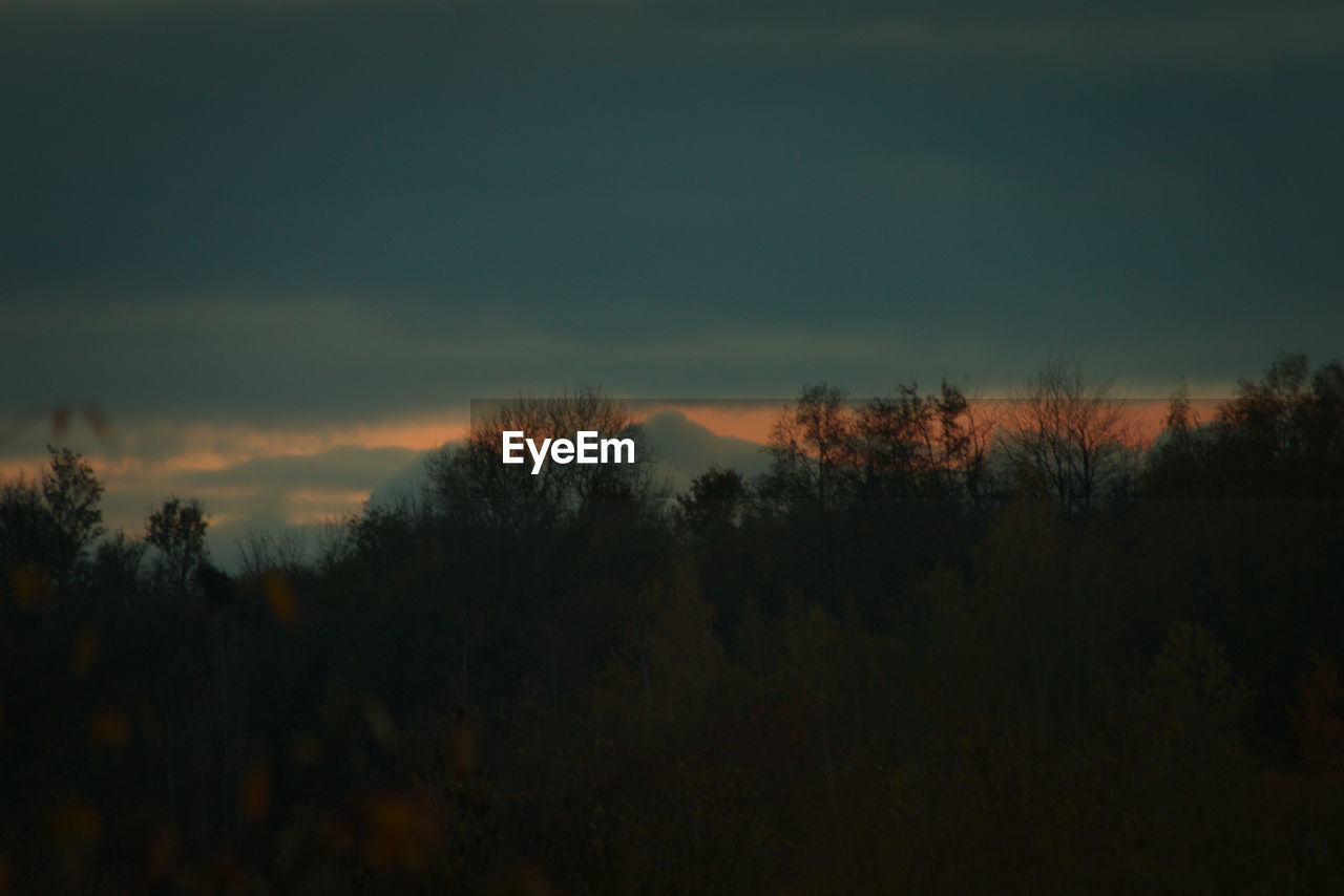 SILHOUETTE TREES ON LANDSCAPE AGAINST SKY AT SUNSET