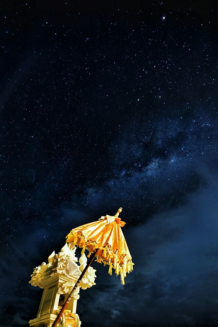 Close-up of flower against sky at night